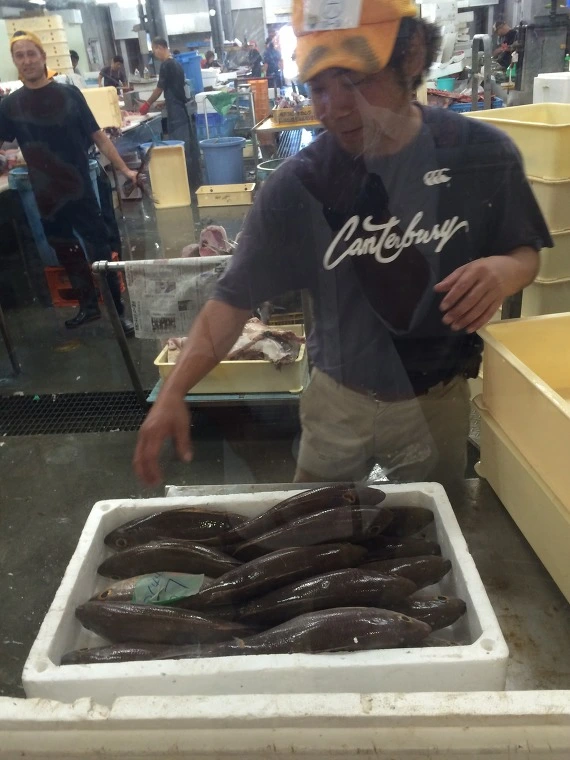 256F6D4E5436F6F9046C80