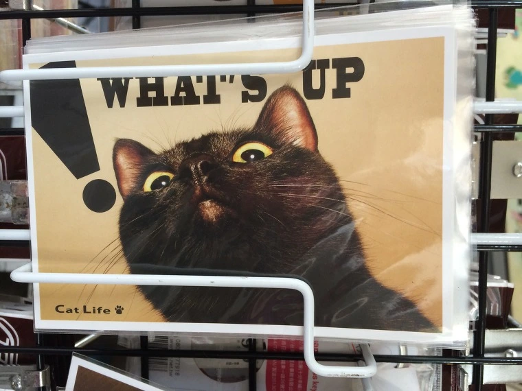 217BBF4E541E1050080699