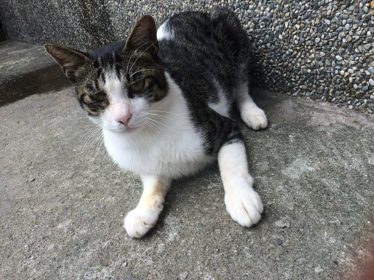 2266943D541E173E290DB2