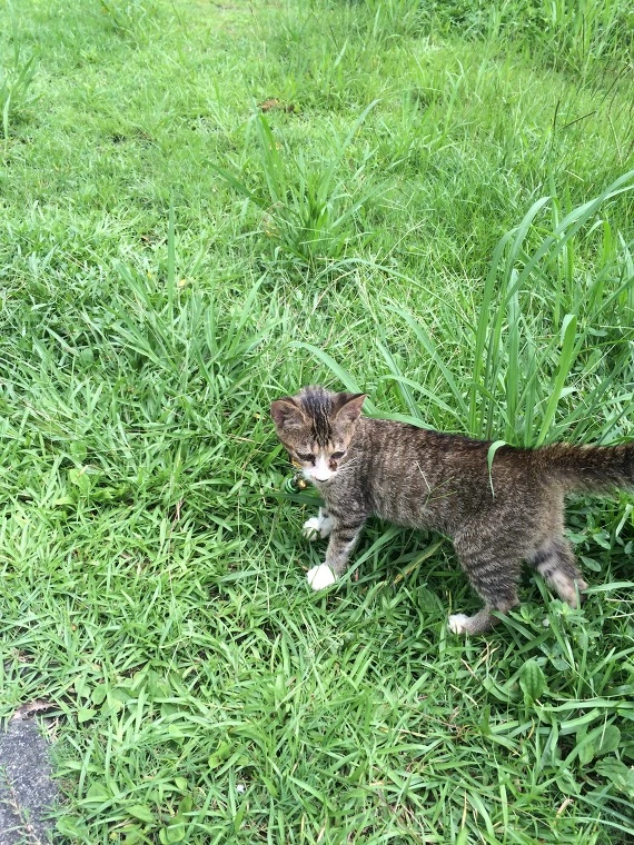 2640B13C541E17341612AA