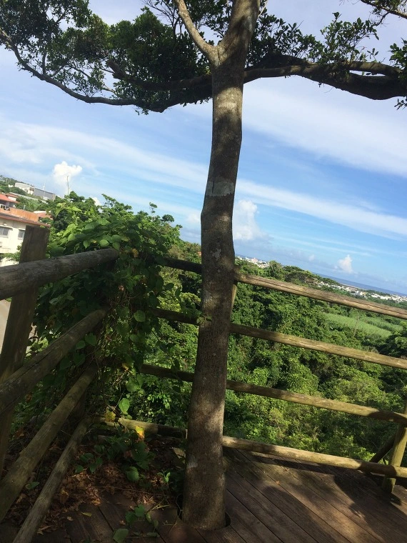 2458B946554526762B9A12