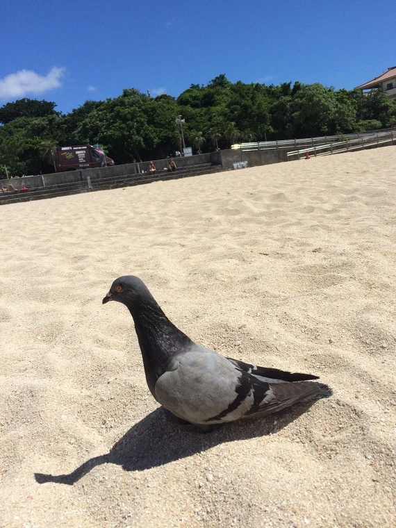 2525F93C54375EA90859A9