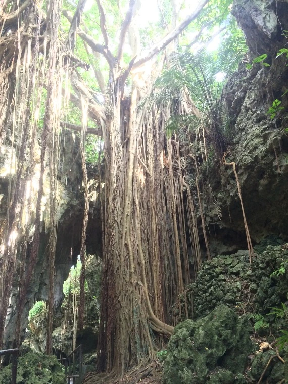 2158EB465545266D2B2619