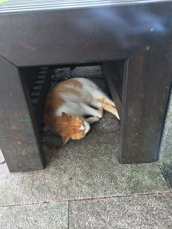 22682E3D541E17C1282FF8