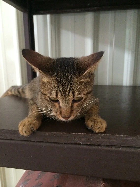 2366273F541E18D92676B3