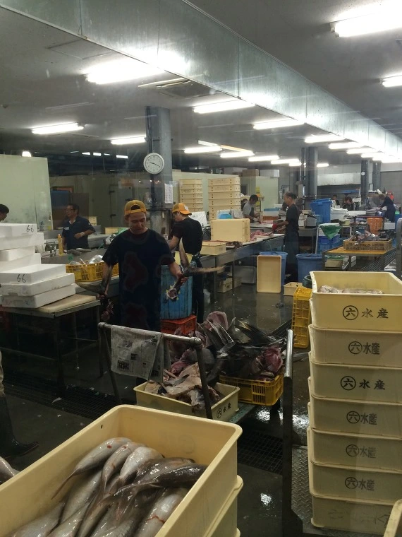 2328FF4E5436F6FE3844DE