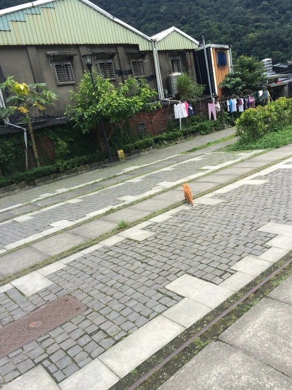 235F323D541E1741304788