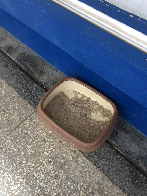 2527784C541E1056071F5F