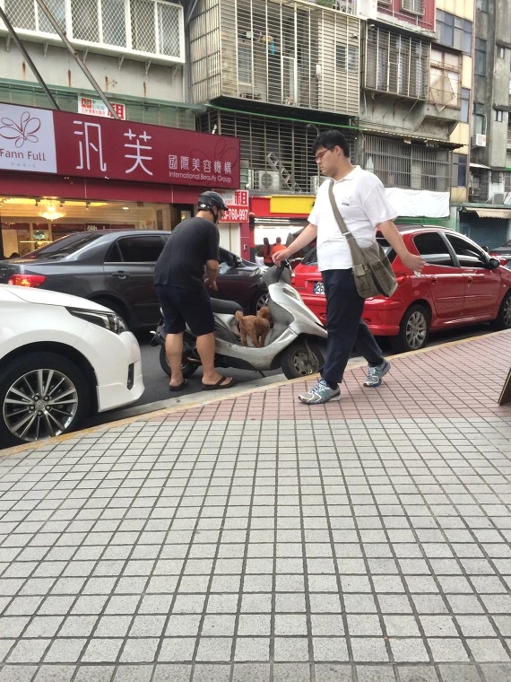 273E8D3D542CA4DA1CC698