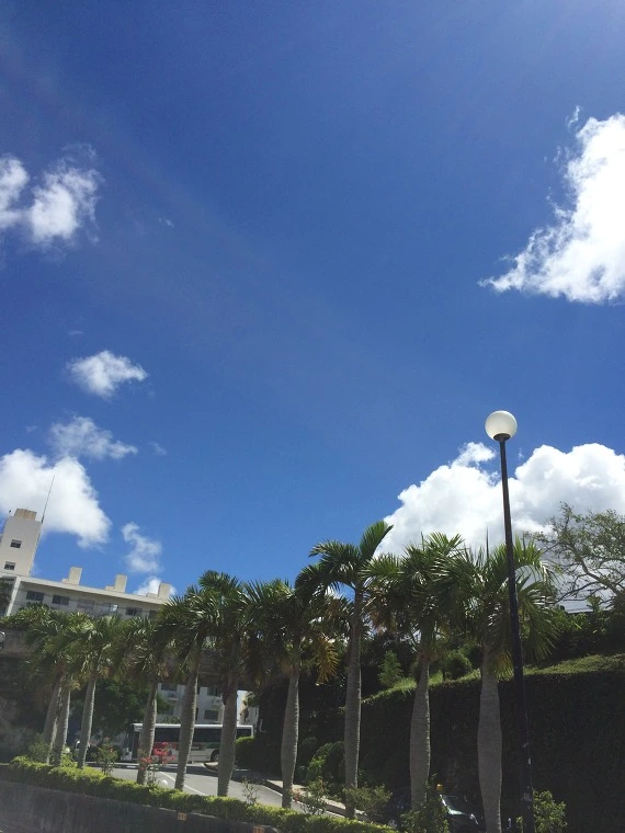 214FE44254375E8909B823