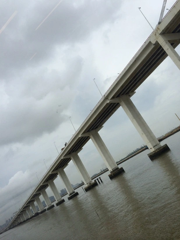 2513313C53D2591C12B0CC