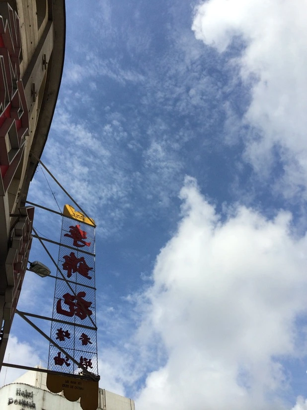 230F313553D9E6DC16E3FD