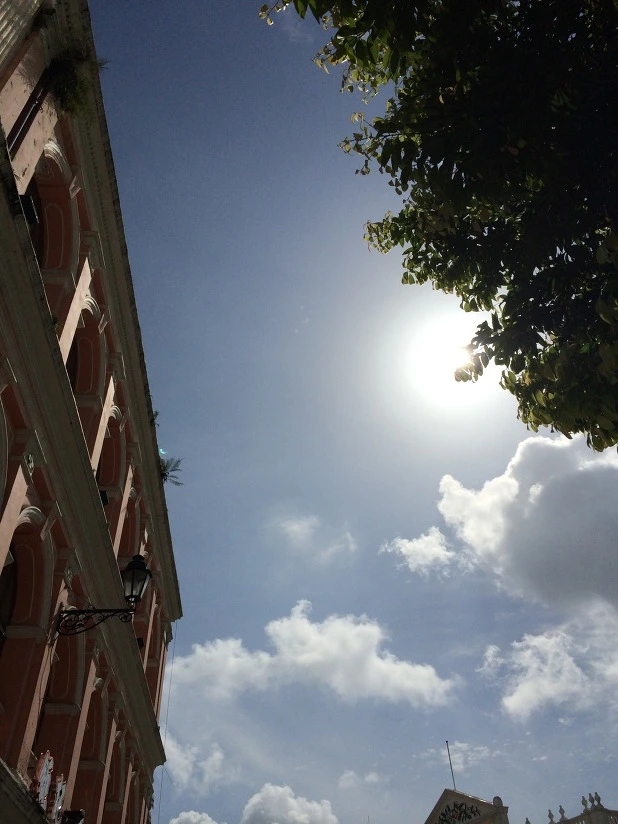 2213F93553D9E6CE12EA5E