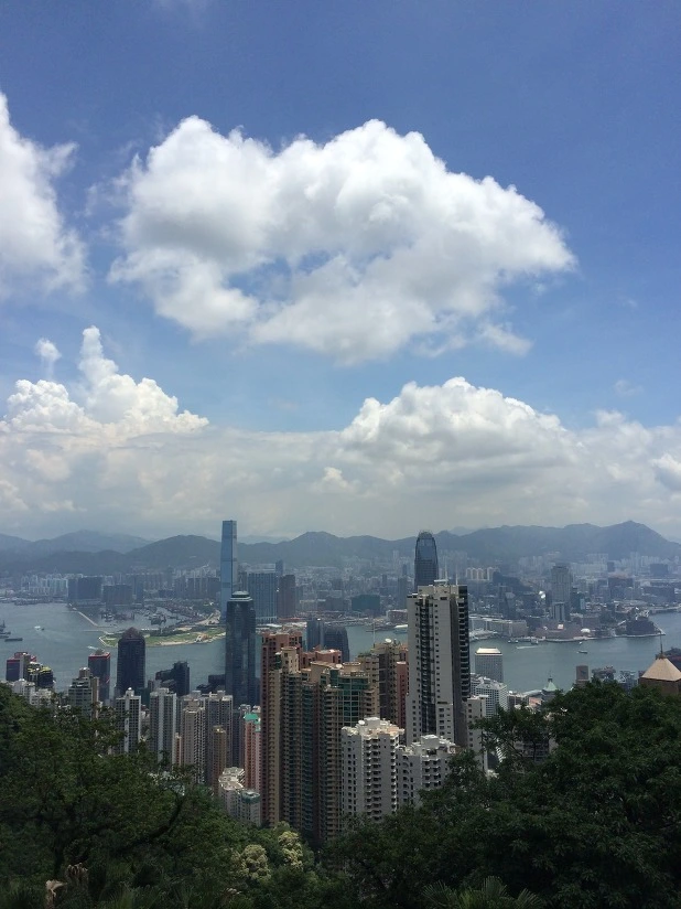 241F844253F9789E24E2CC