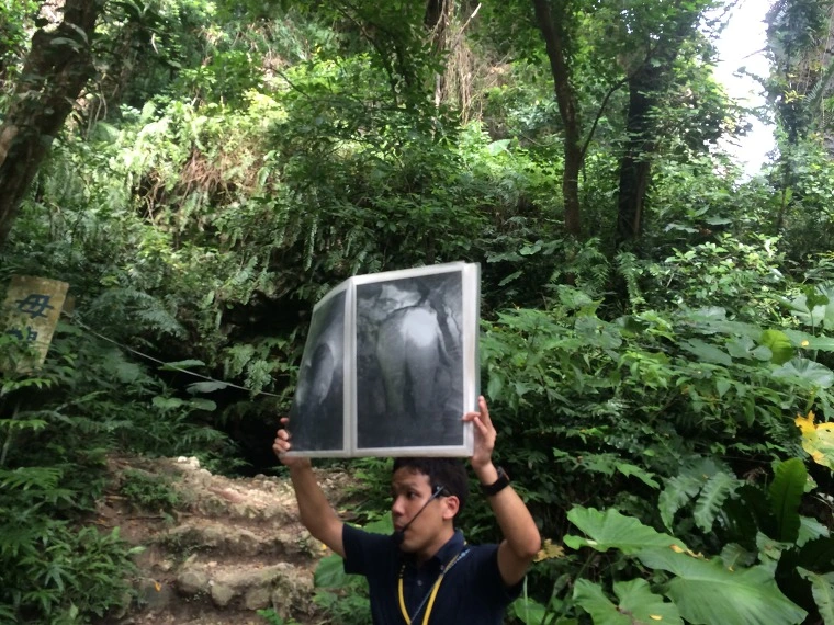 26586C46554526642B7D3E