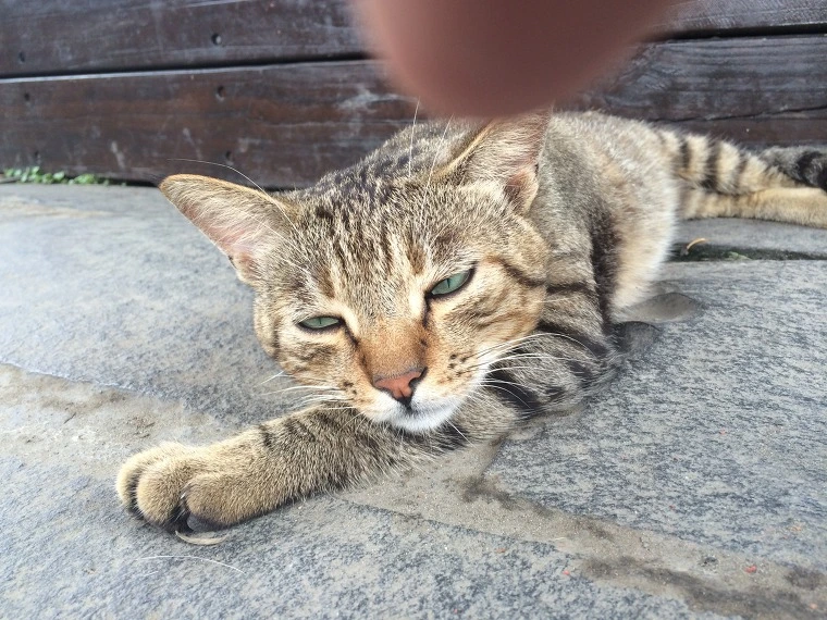 255FA23D541E1749319DB0