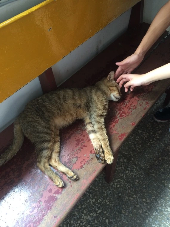 263E183C541E17271833F7