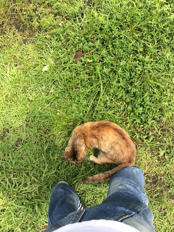 2745DA3C541E173712439F