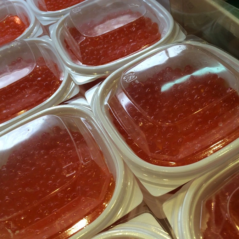 21280D4E5436F6DA3842B3