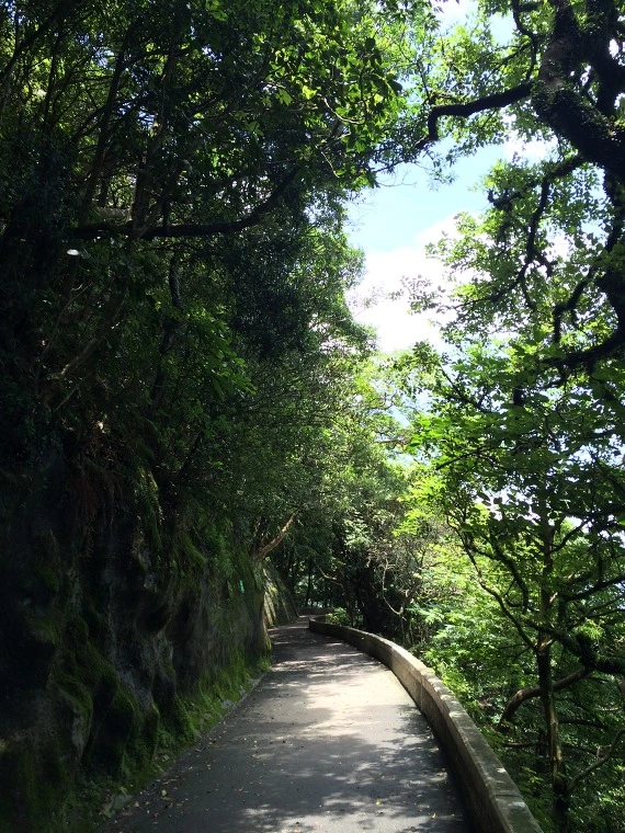 2173724E541DAC1E03E34A