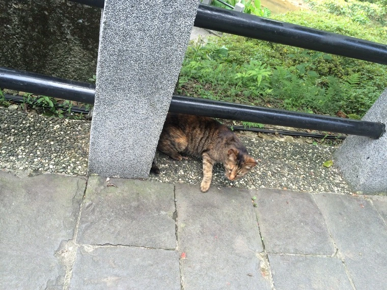 215F2D3D541E17442E4225