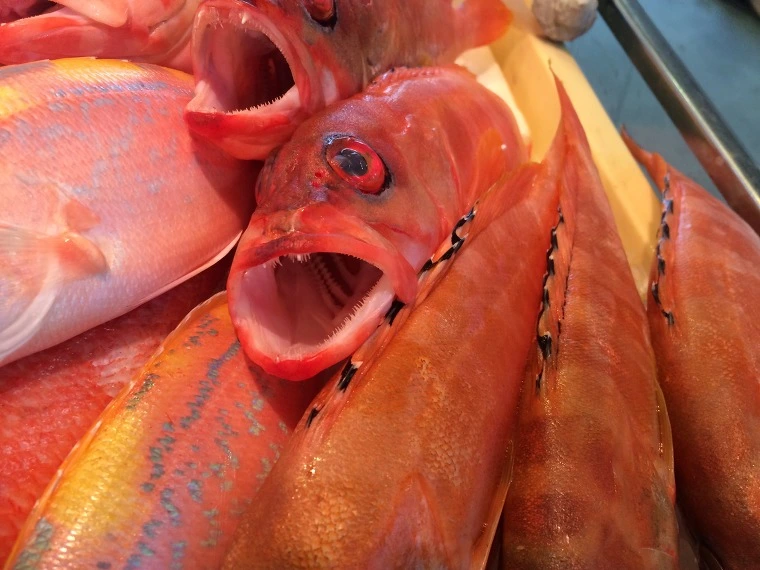 2227744E5436F6E737915A