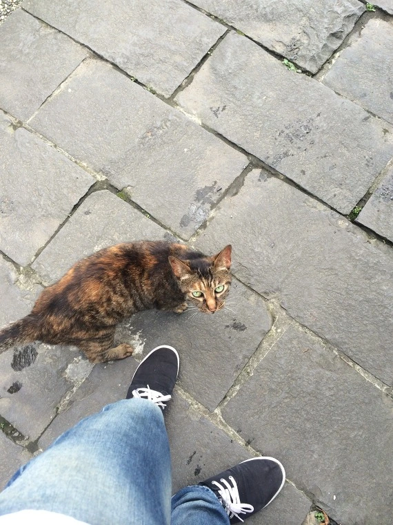 25604E3D541E17472C661A