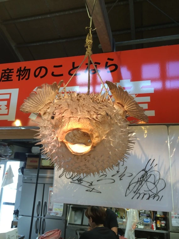 242D30495436F7000B9692