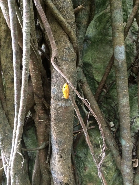 214768375545265D2BC580