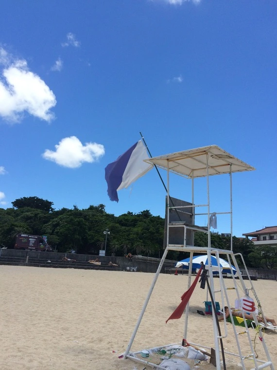 213A404254375E9126CA36