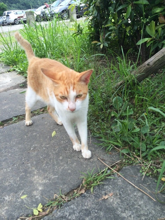 266EC13D541E17C31F7C2C