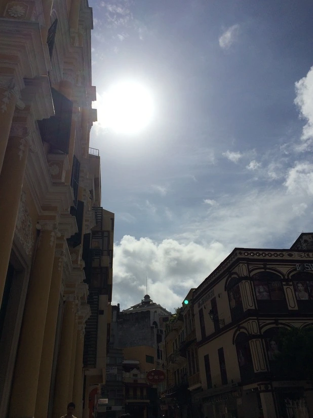 2208FD3553D9E6D31B6566