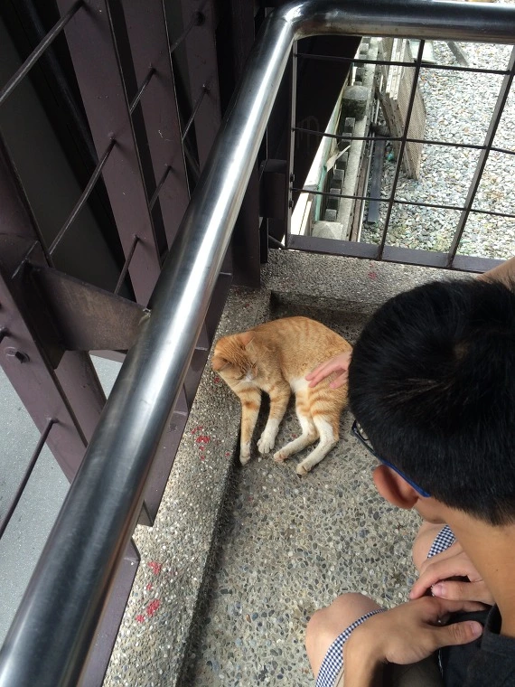 234D553C541E17290A35EB