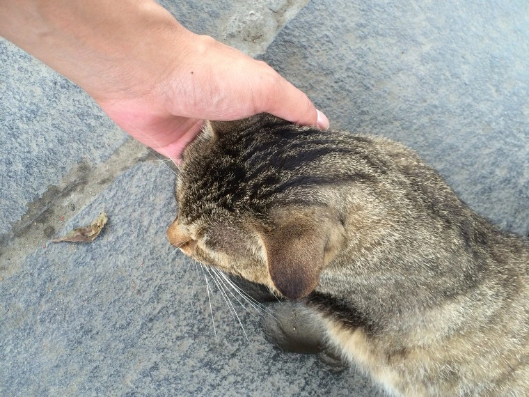 21623746541E174B1AA737