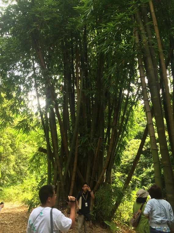 254784375545265A2D6F3C