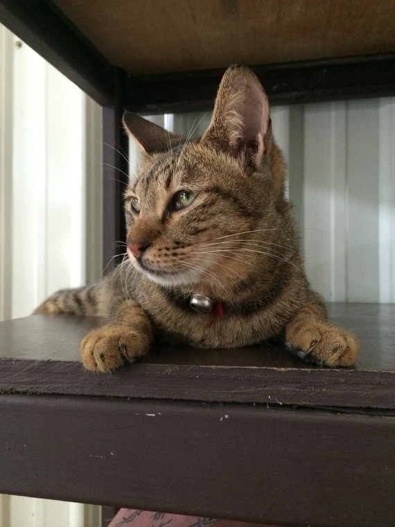 276D243F541E18DC235648