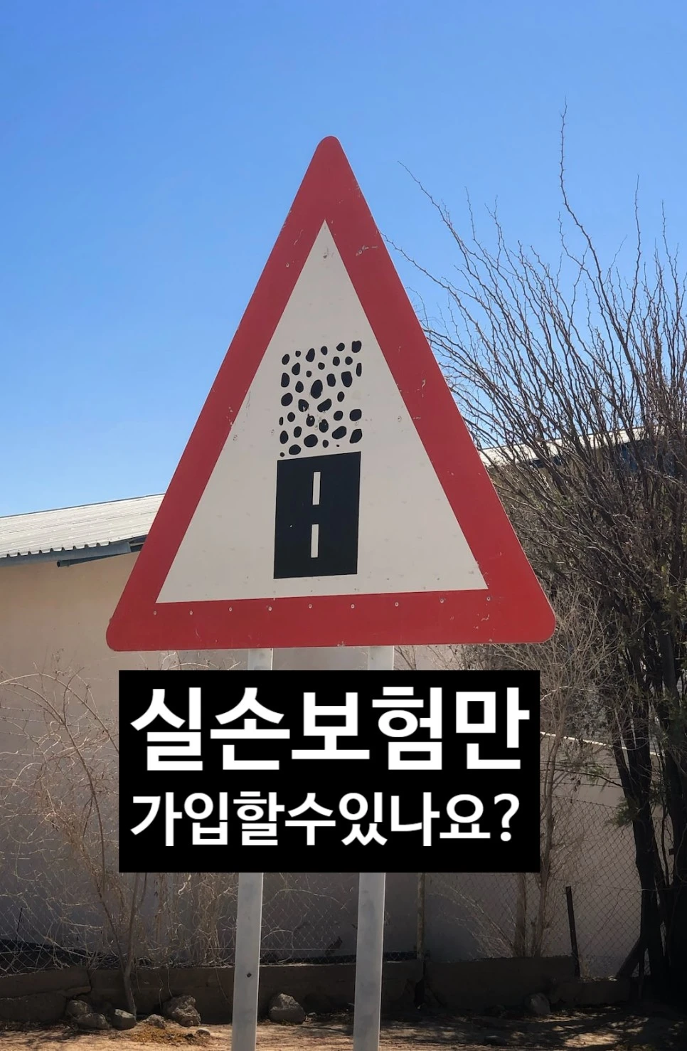 SE-d10ddc8b-662b-4706-8a70-7ad1739e47a5.jpg?type=w966