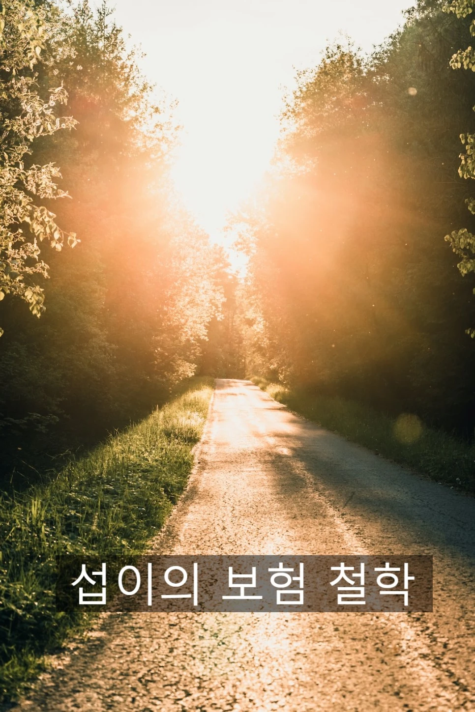 SE-a11a11b9-7057-4671-8a96-7233f1a4d8d6.jpg?type=w966