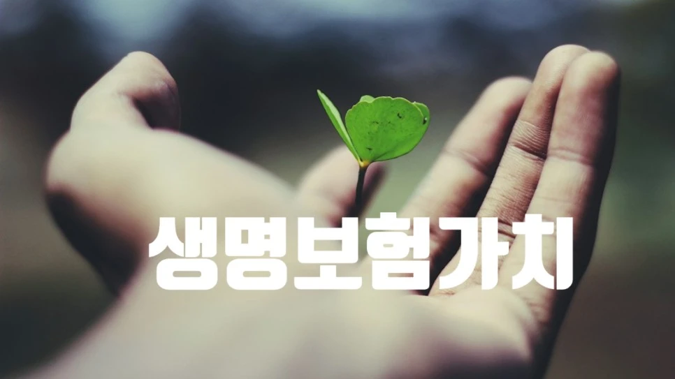 SE-41a4c5ec-c2b1-4c02-91c1-11f06e11919c.jpg?type=w966