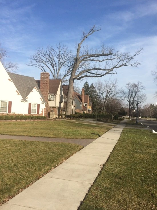 2016-03-11_16.21.42.jpg?type=w2