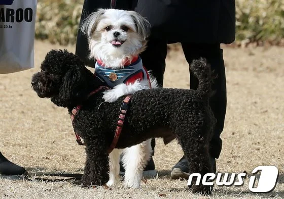 article_%281%29.jpg?type=w1200