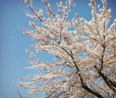 Kkg0rsw7fn0H6QYJOUXNSBHVrok