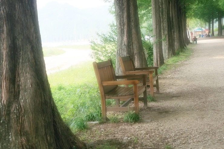 8_f05Ud018svc1f44n8rpdu1lk_hg7krz.jpg?type=e1920_std