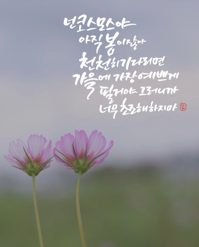 IMG_4045.JPG?type=w800