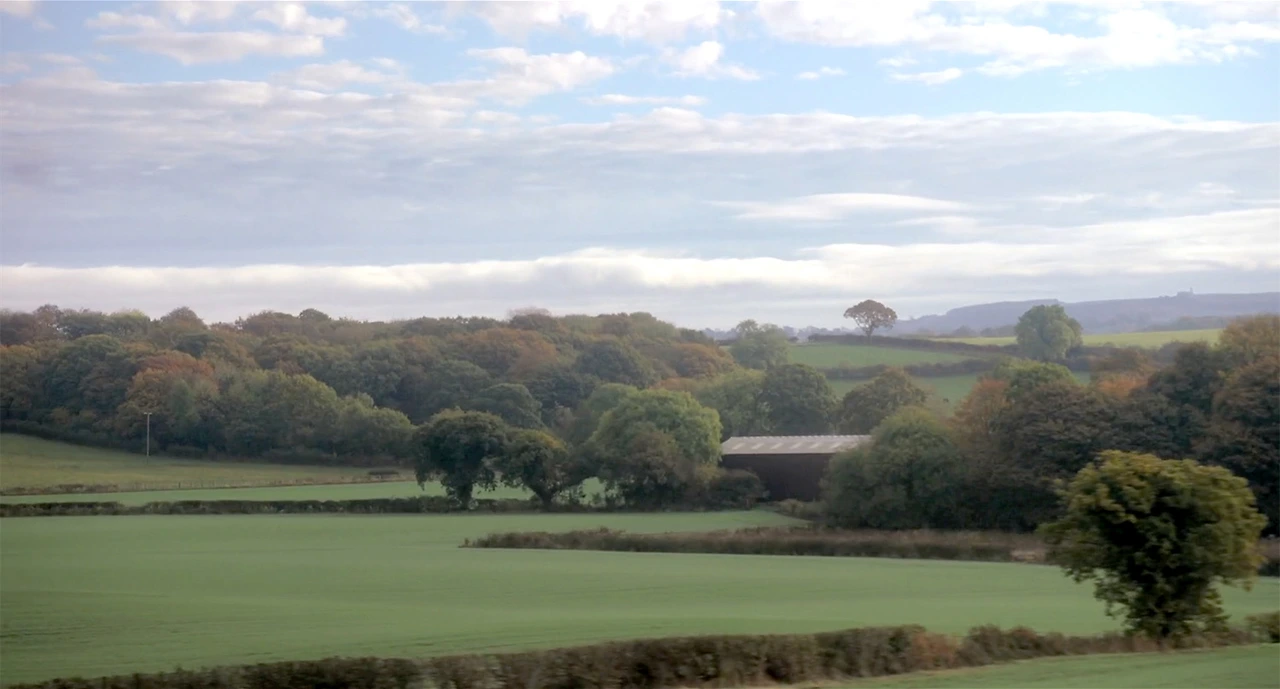 8f4a74730fea46f49138e6d9285319291560409531006