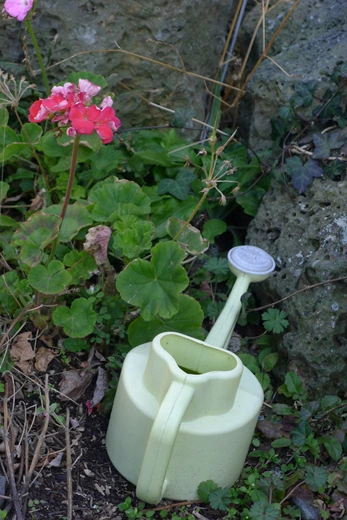 P1060218.jpg?type=w773