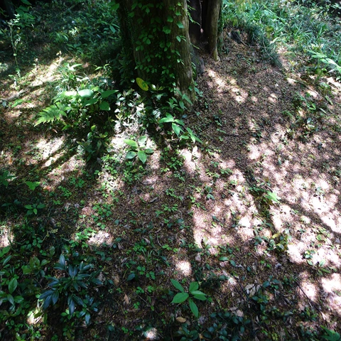 P1010764.jpg?type=w773