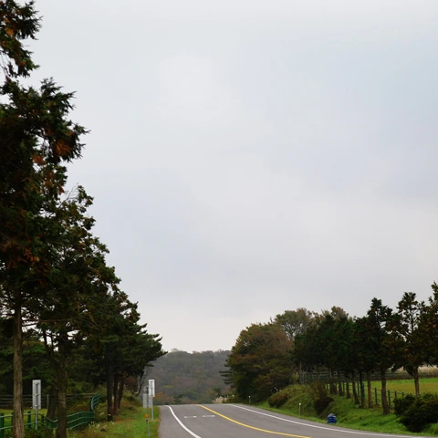 P1050414.jpg?type=w773