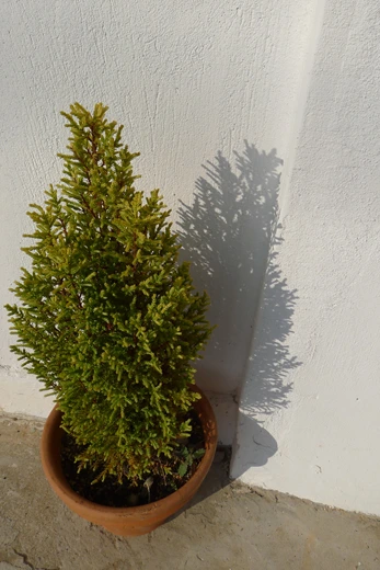 P1060215-02.jpg?type=w773