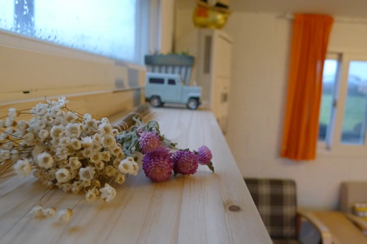 P1100884.jpg?type=w773